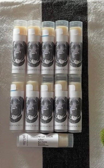 Lip Balm